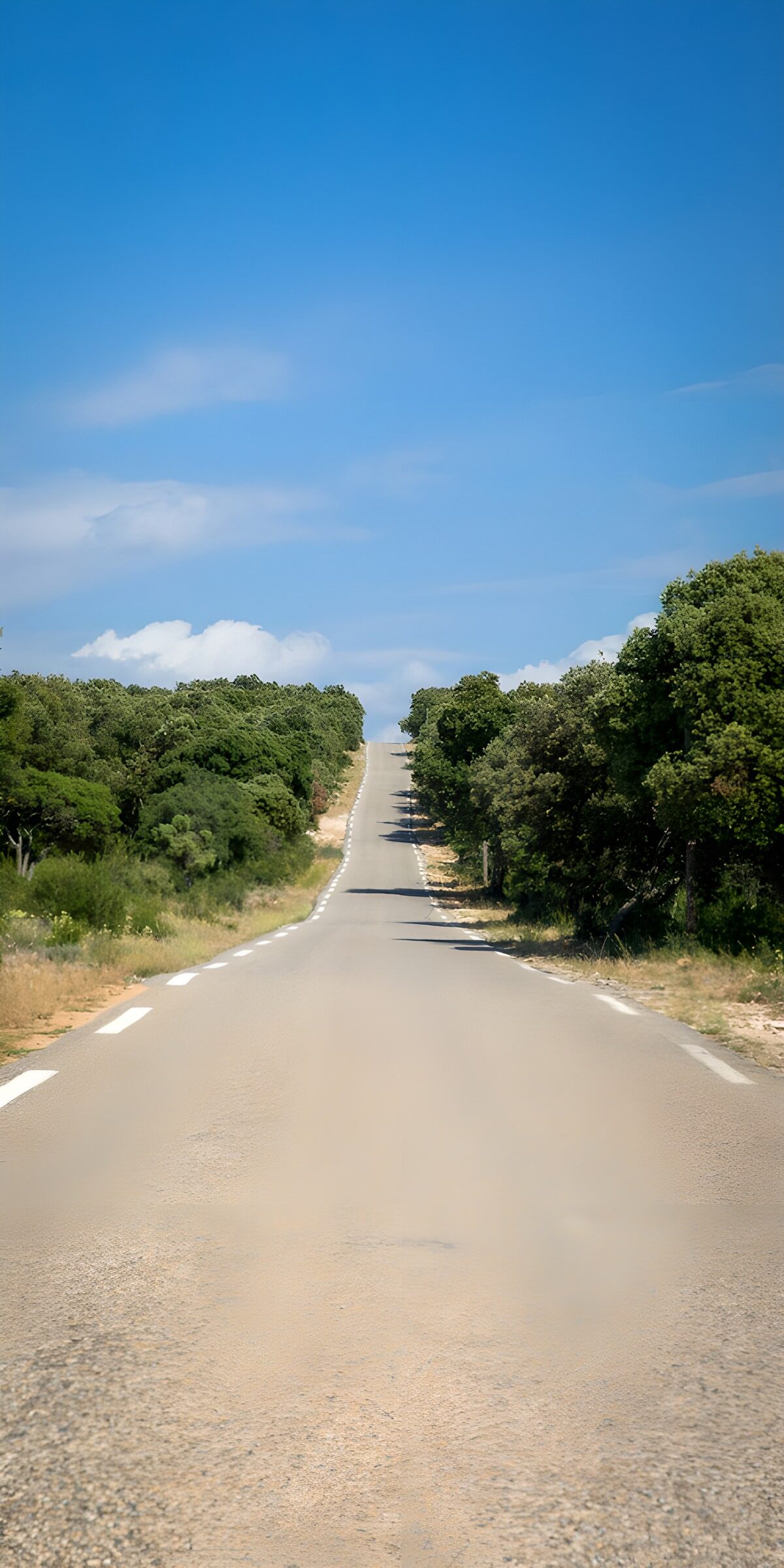 CW7467401: Overzichtelijke landweg onder blauwe lucht