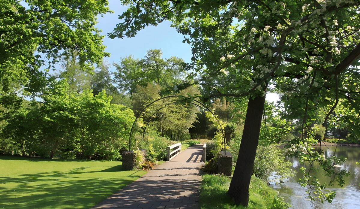Groene wandelweg langs het water