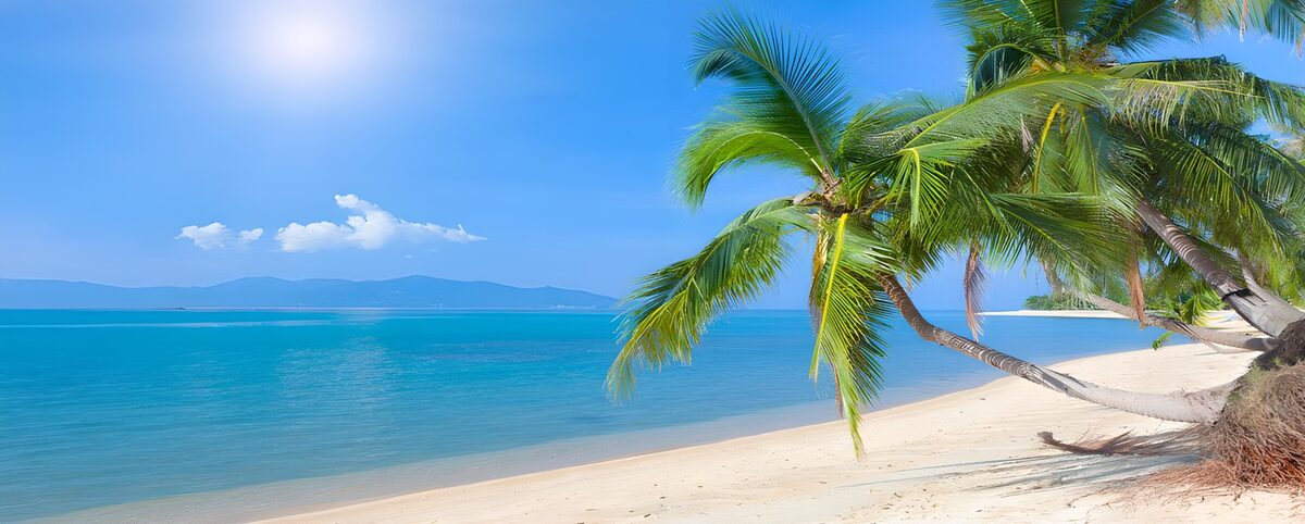 CW5756301: Paradijselijk Strand met Palmbomen