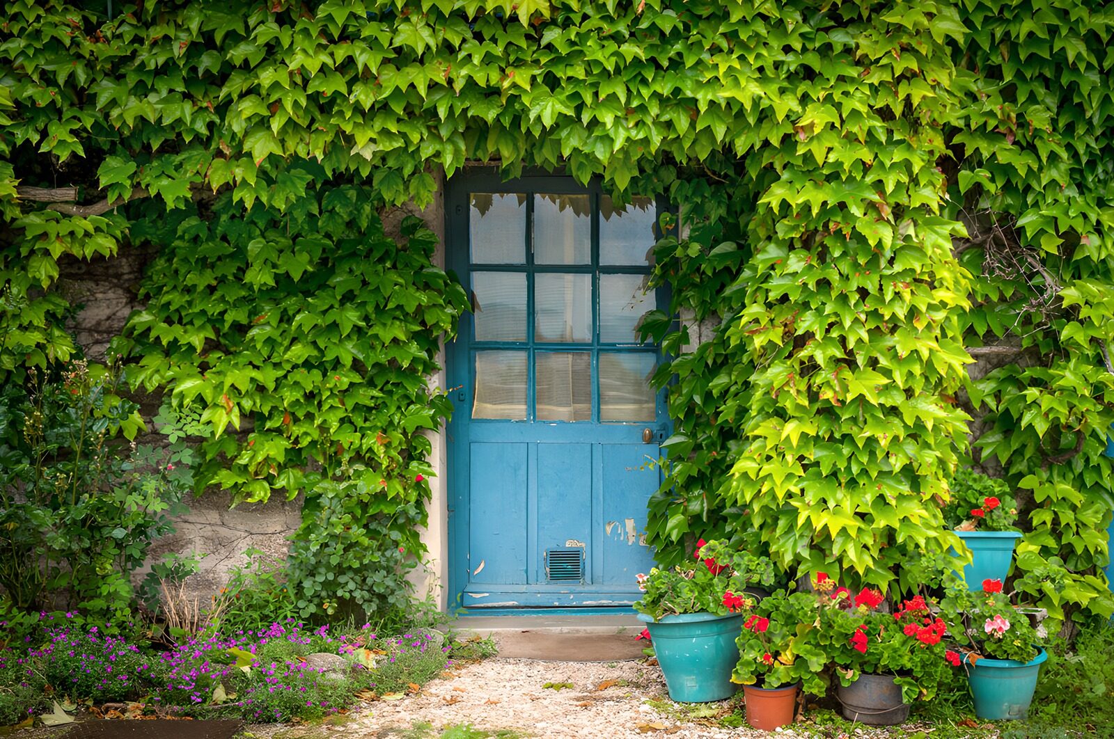 CW7978696: Betoverende blauwe deur omgeven door groen