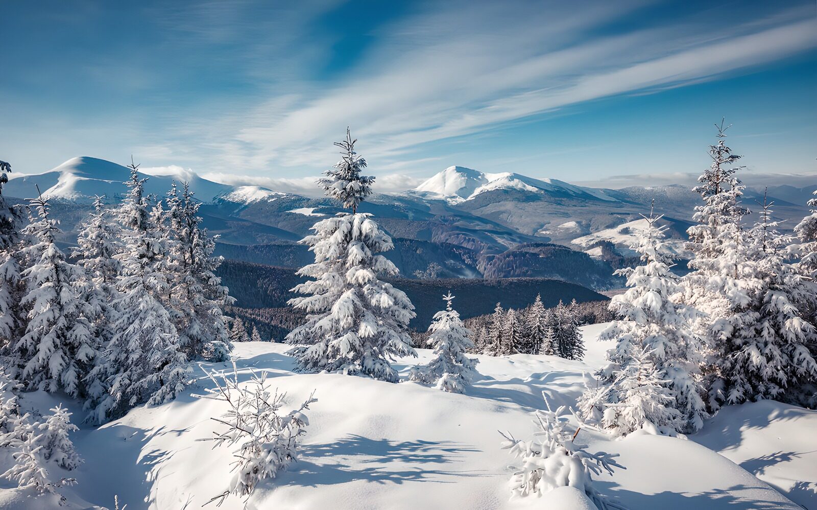 CW9438319: Sneeuwlandschap met Bergen en Bossen