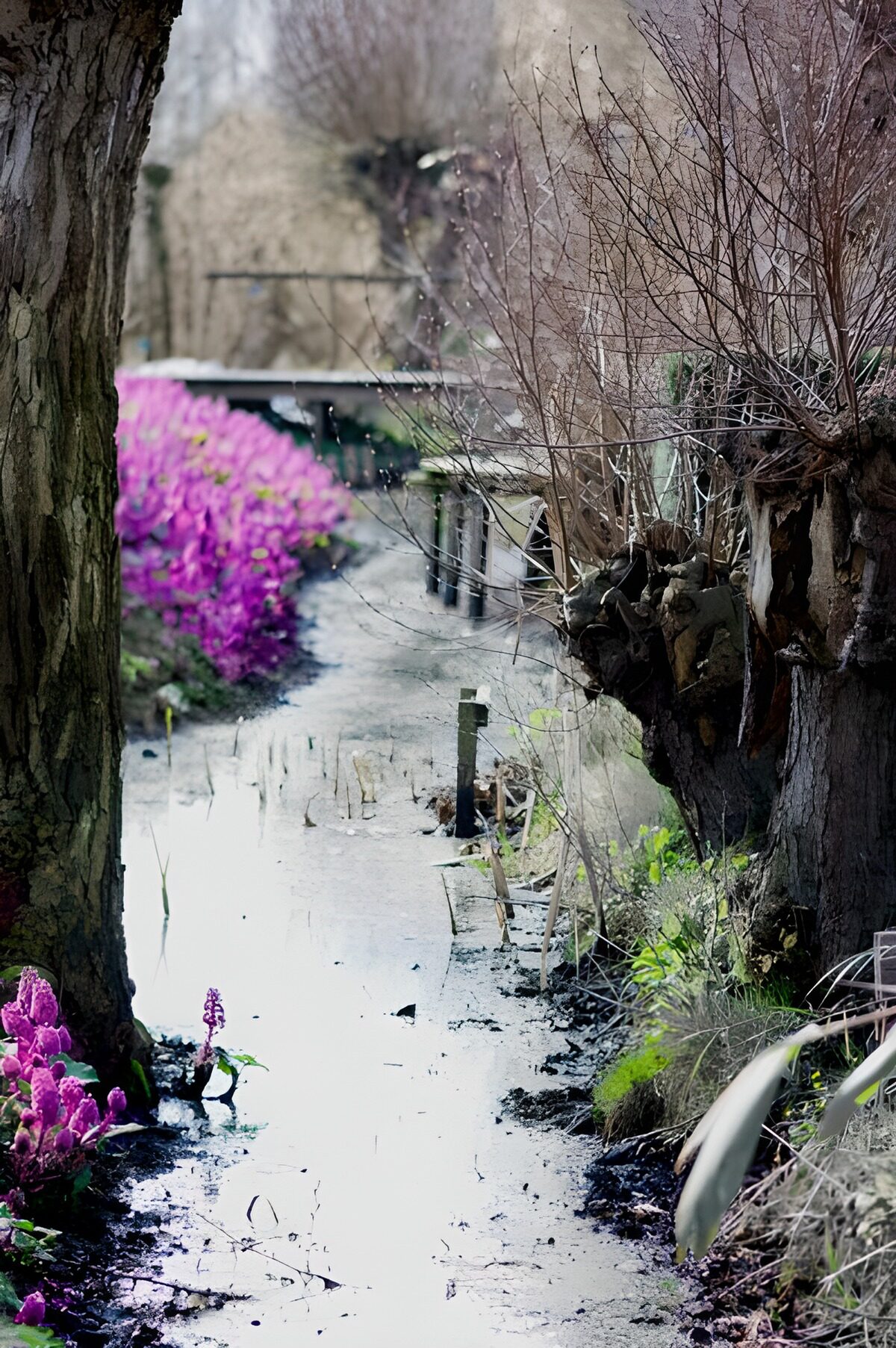 CW2181154: Lente langs de kleurrijke oever