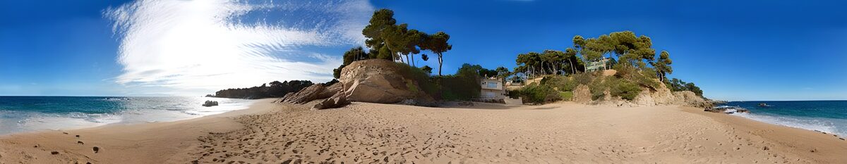 Rustige strandlandschap met bomen