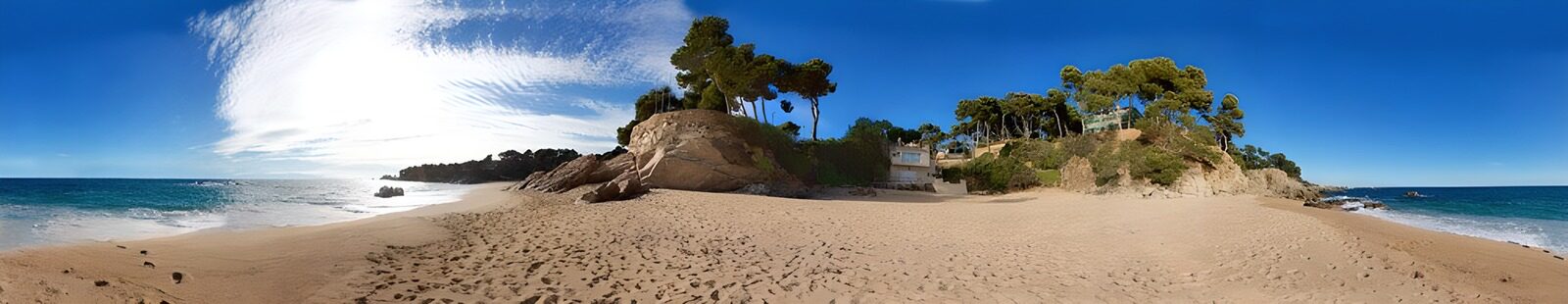CW8635336: Rustige strandlandschap met bomen