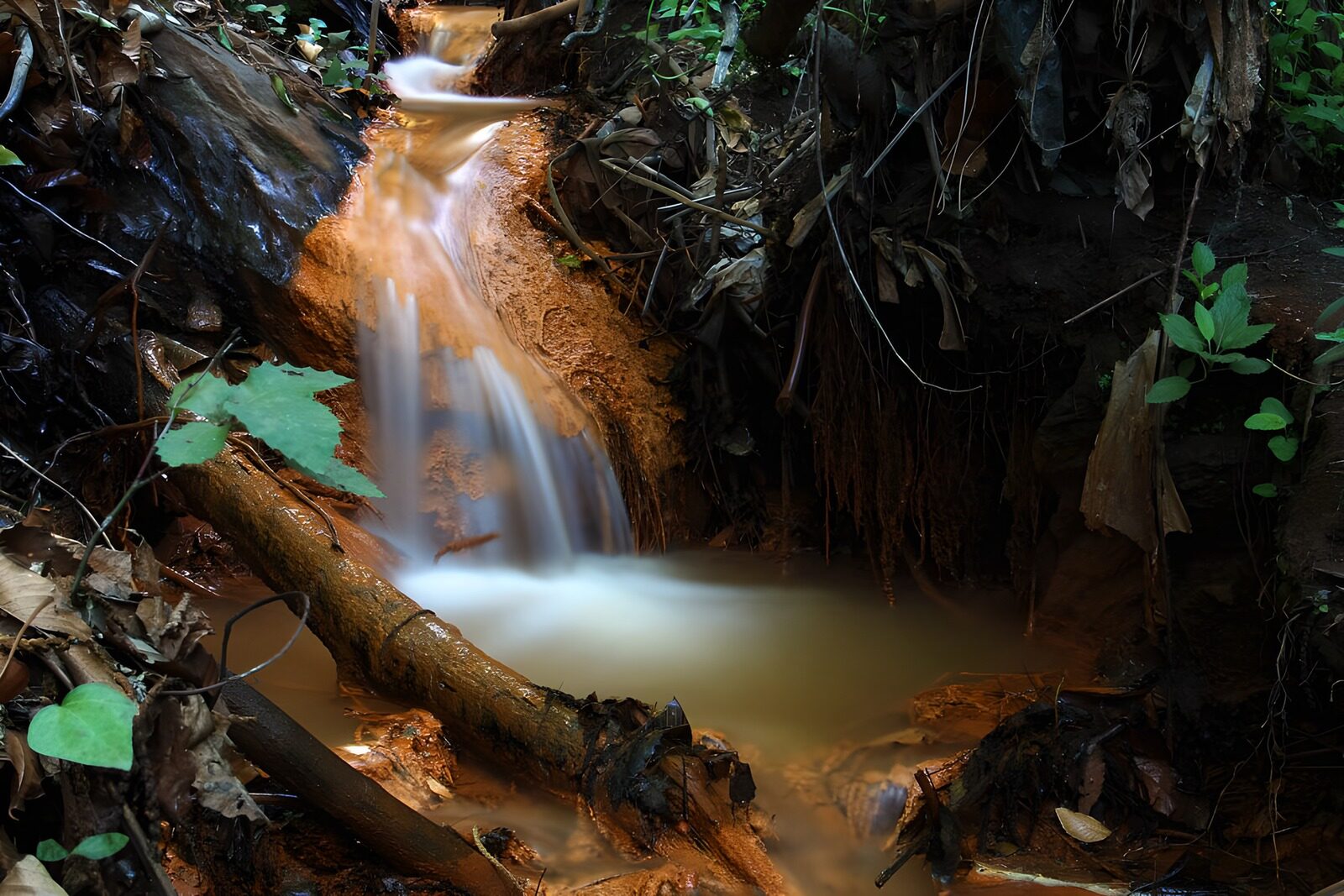 CW2421679: Rimpelend Water in het Bos