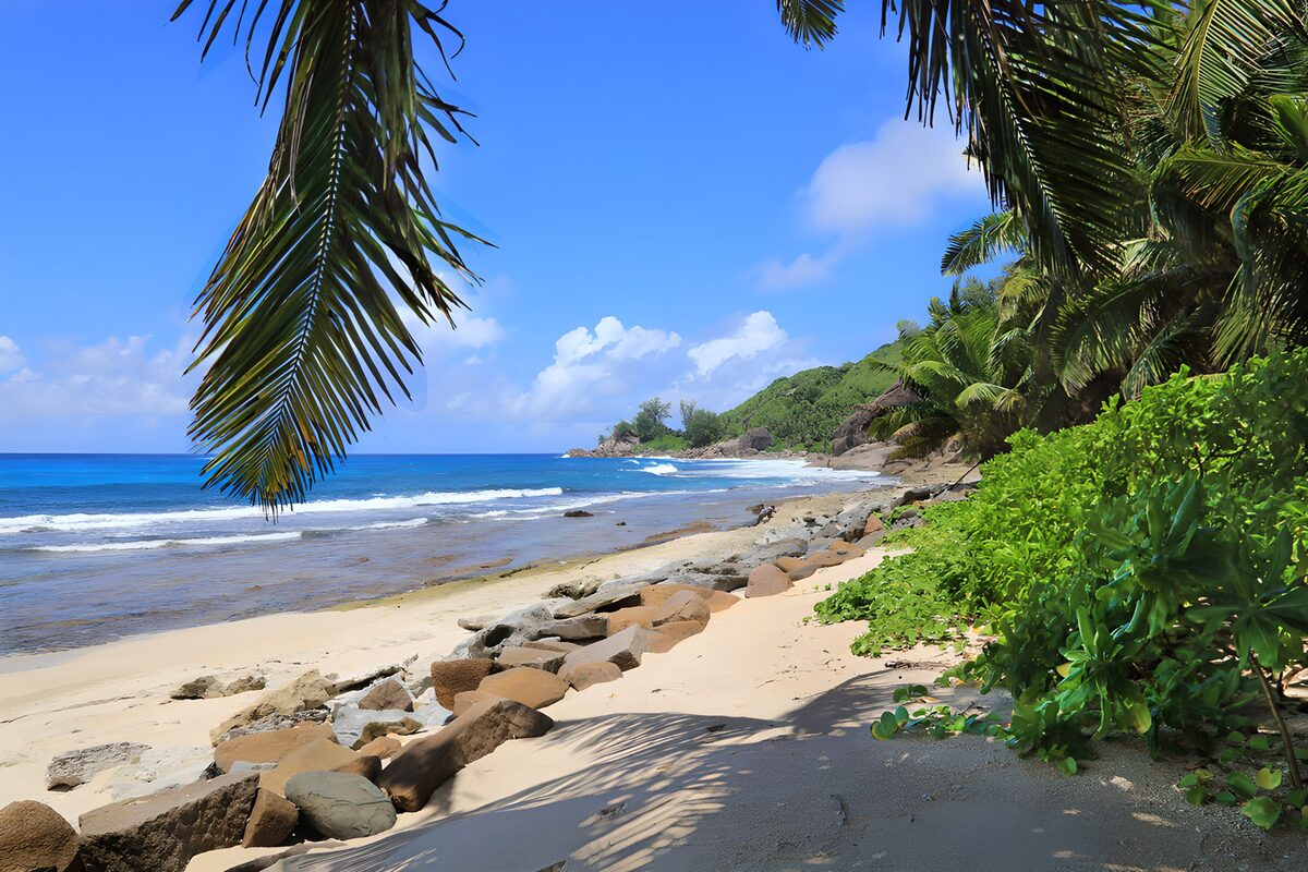 CW3763817: Tropisch Strandeiland met Palmbomen