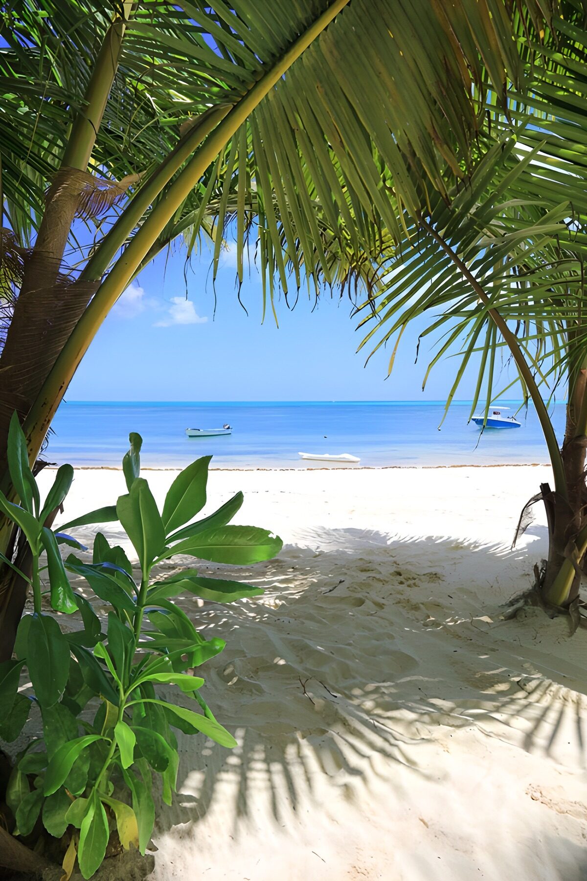 CW7532893: Tropisch uitzicht op een zonnig strand