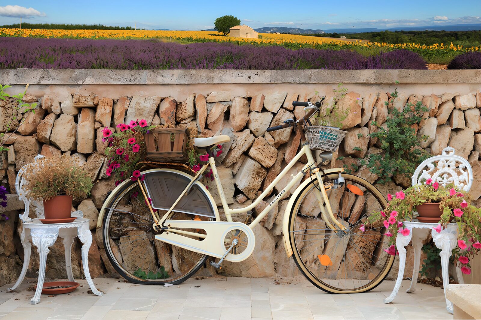 CW1669126: Fietsen tussen bloemen en stenen