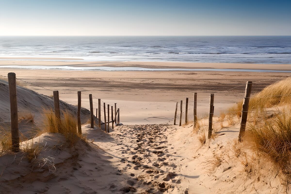 CW8068113: Zandpad naar het strand bij zonsopgang