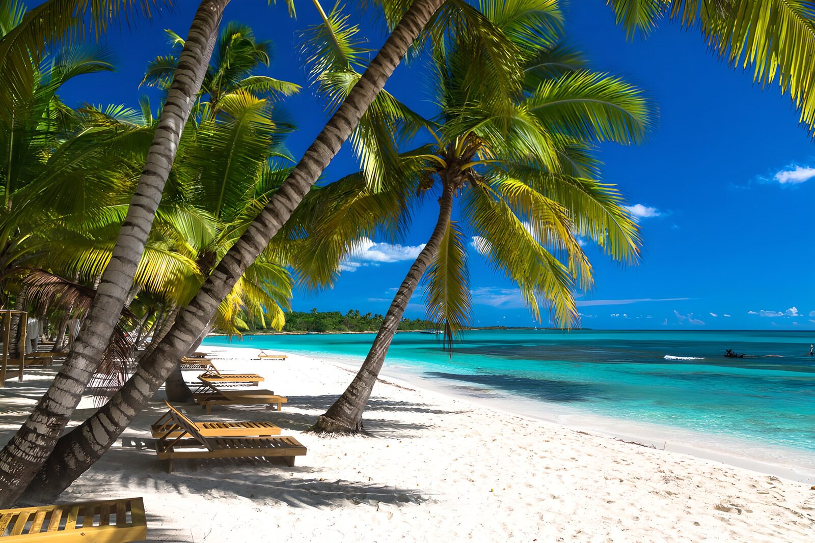 CW5148265: Tropisch Paradijs met Palmbomen