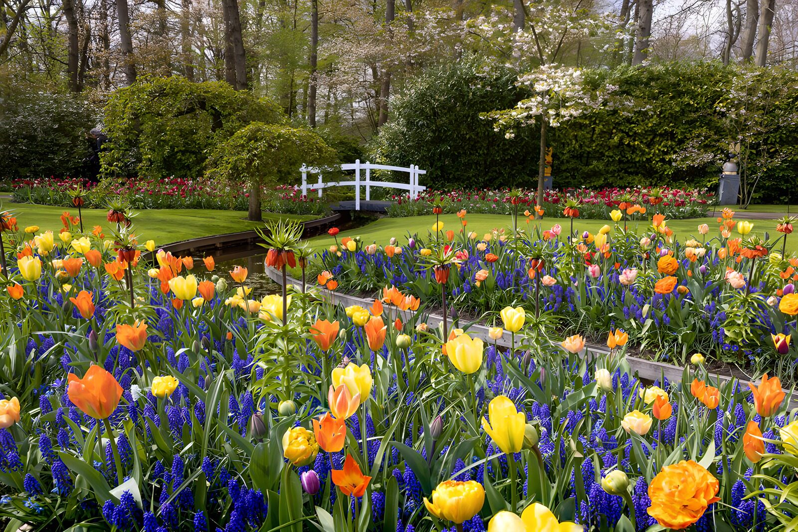 CW7373095: Kleurrijke Bloemenpracht in de Lente