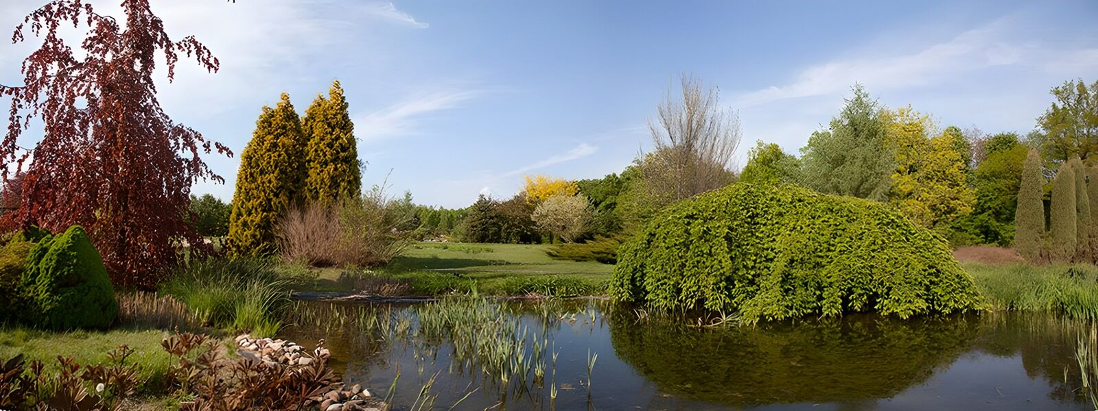 CW4525872: Prachtig Landschap met Vijver en Bomen