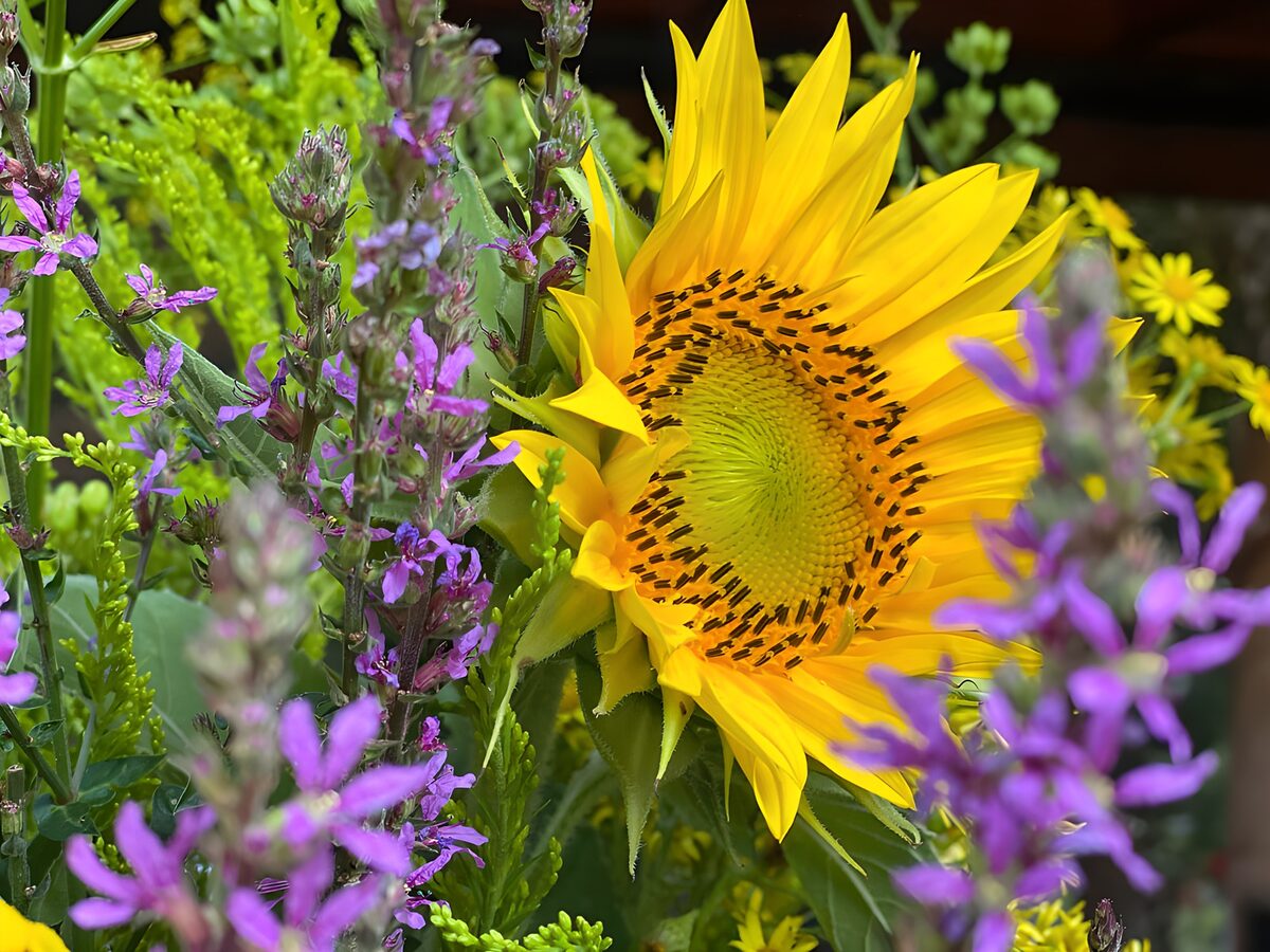 Gele zonnebloem in kleurrijk boeket
