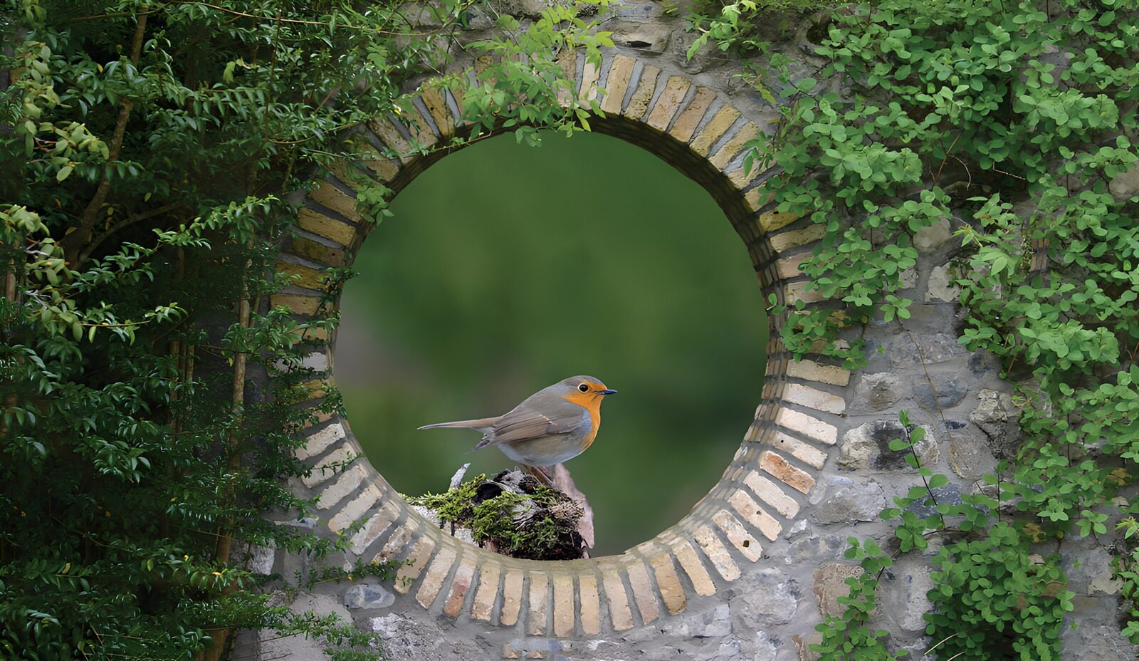 CW8392775: Zangvogel door de cirkelvormige opening