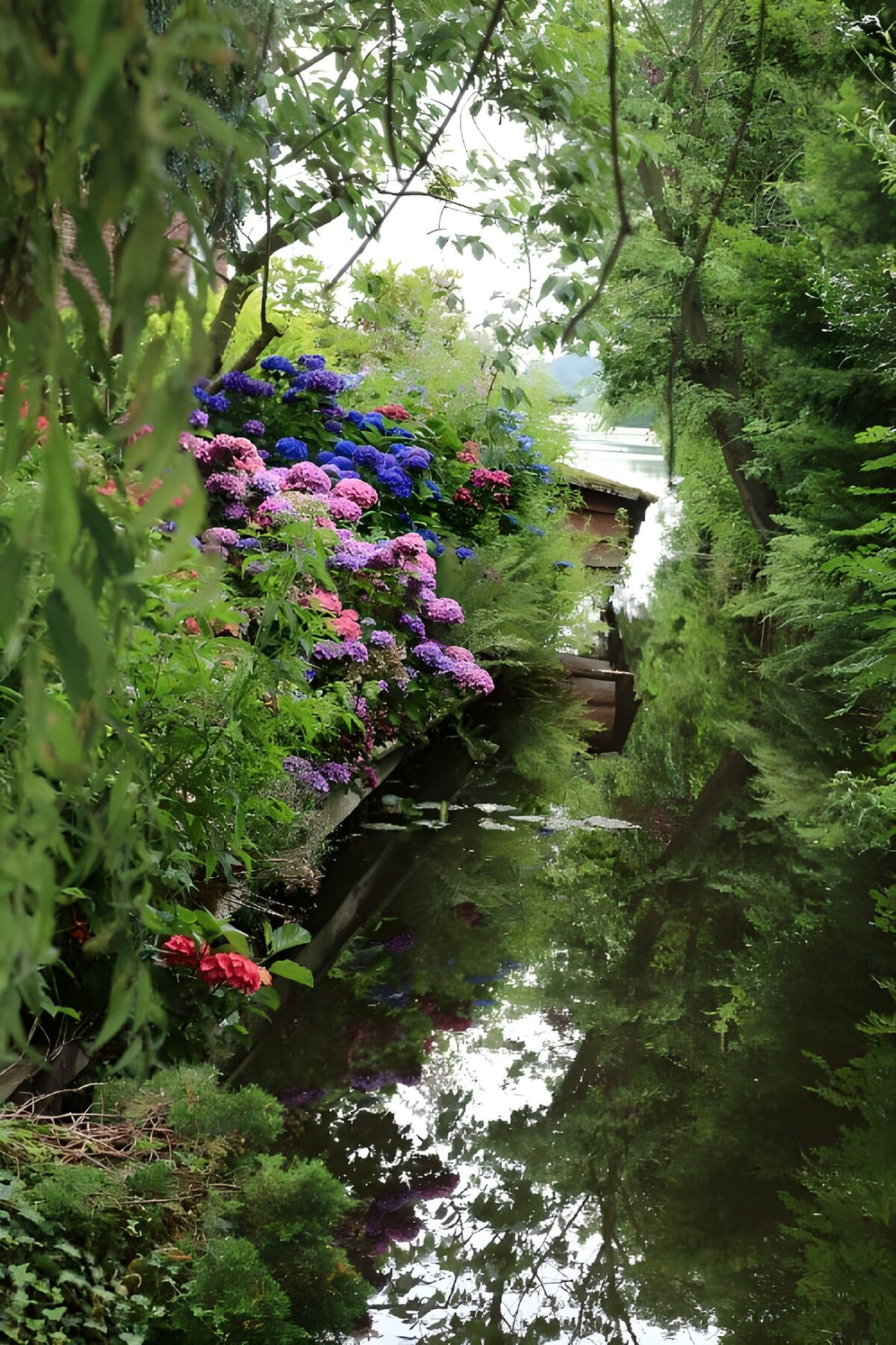 Kleurrijke Oever met Bloemen