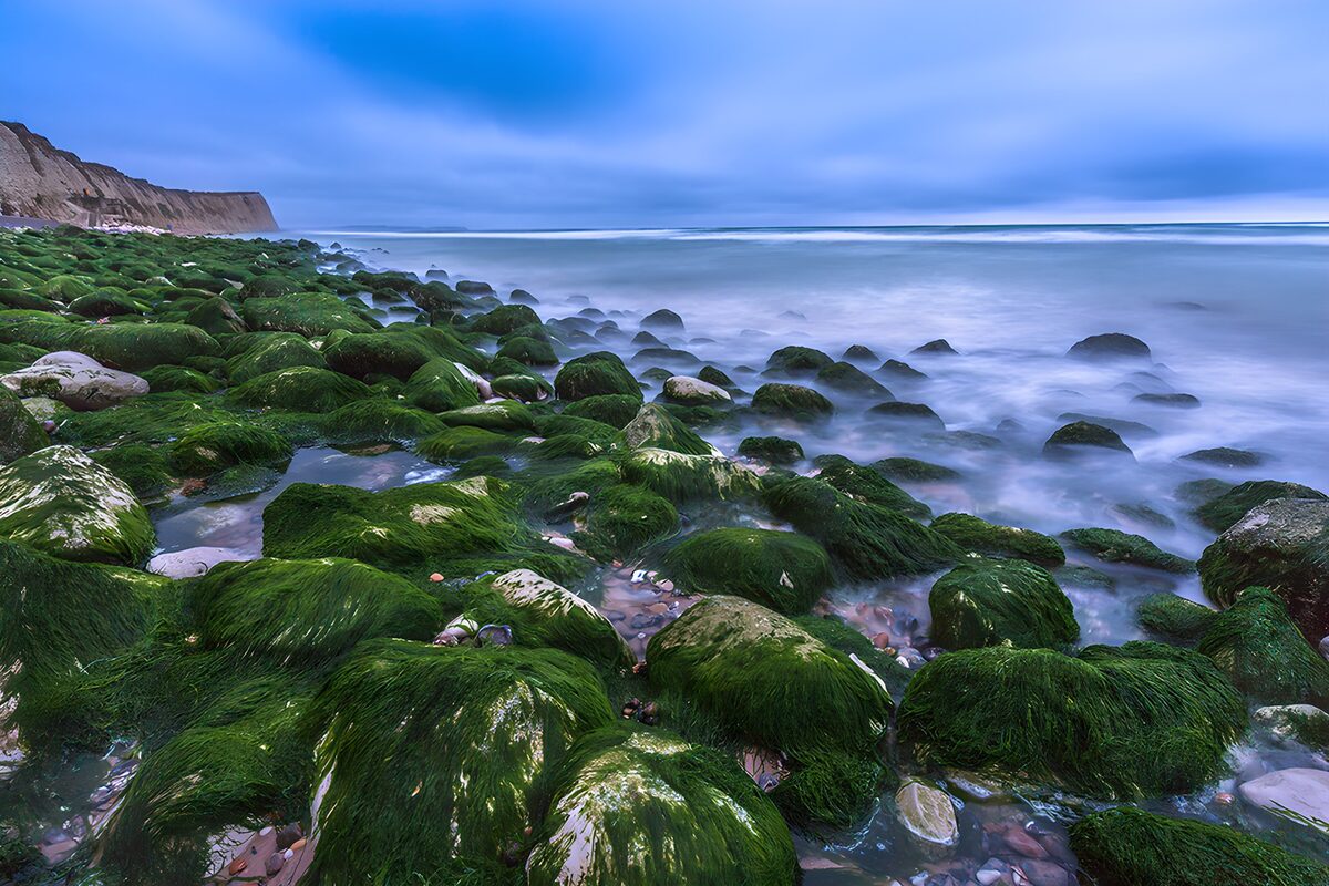 CW7099995: Groene Rotsen Aan De Kust