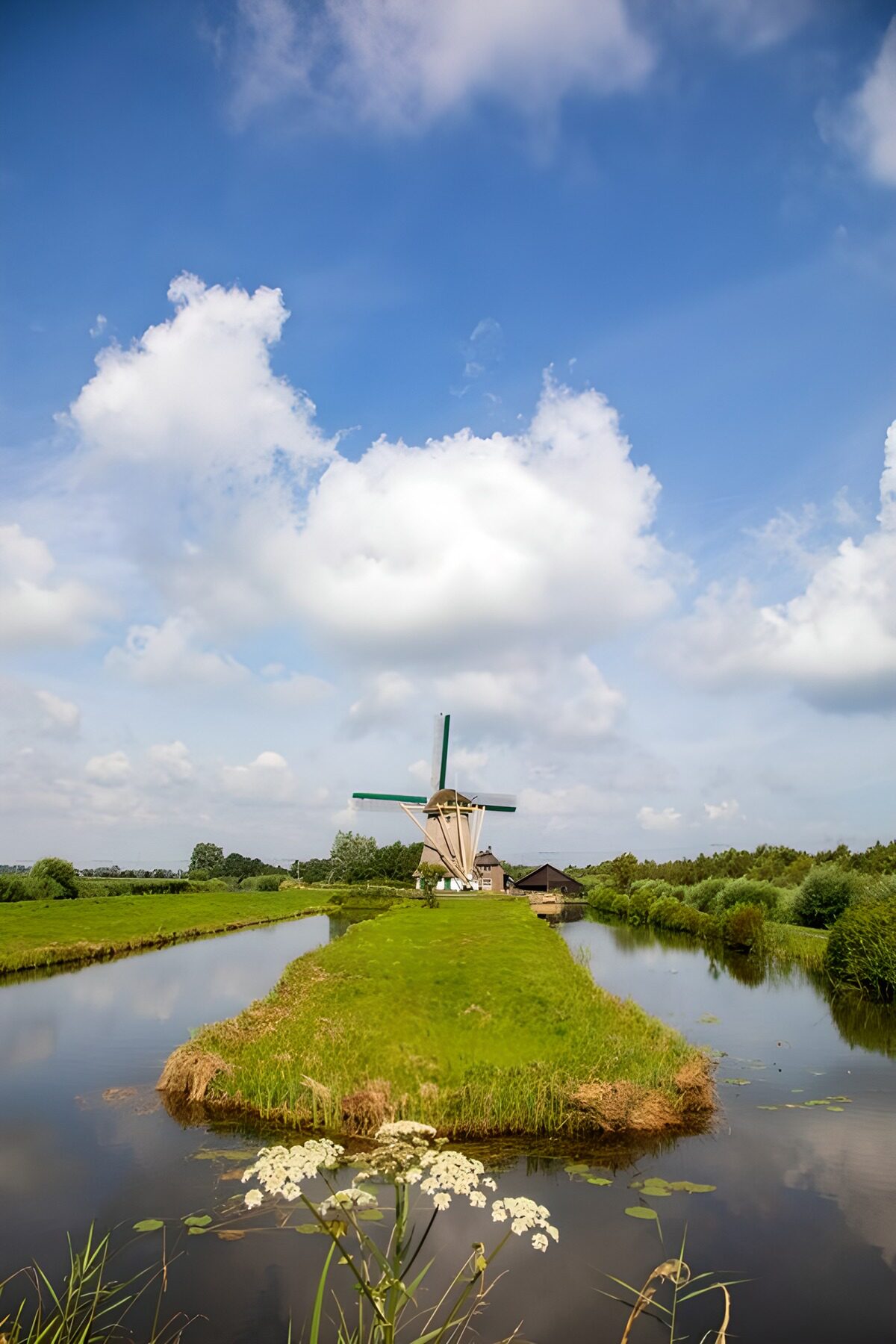 Molentje in het Groene Hart
