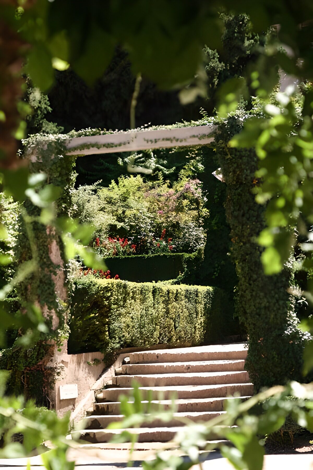 Prachtige tuin met doorkijkje