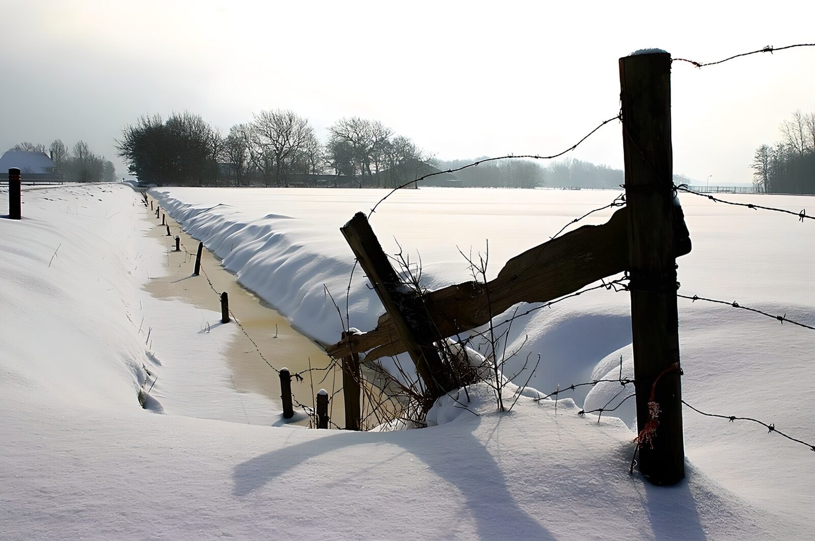 CW9729398: Sneeuwlandschap met een hek