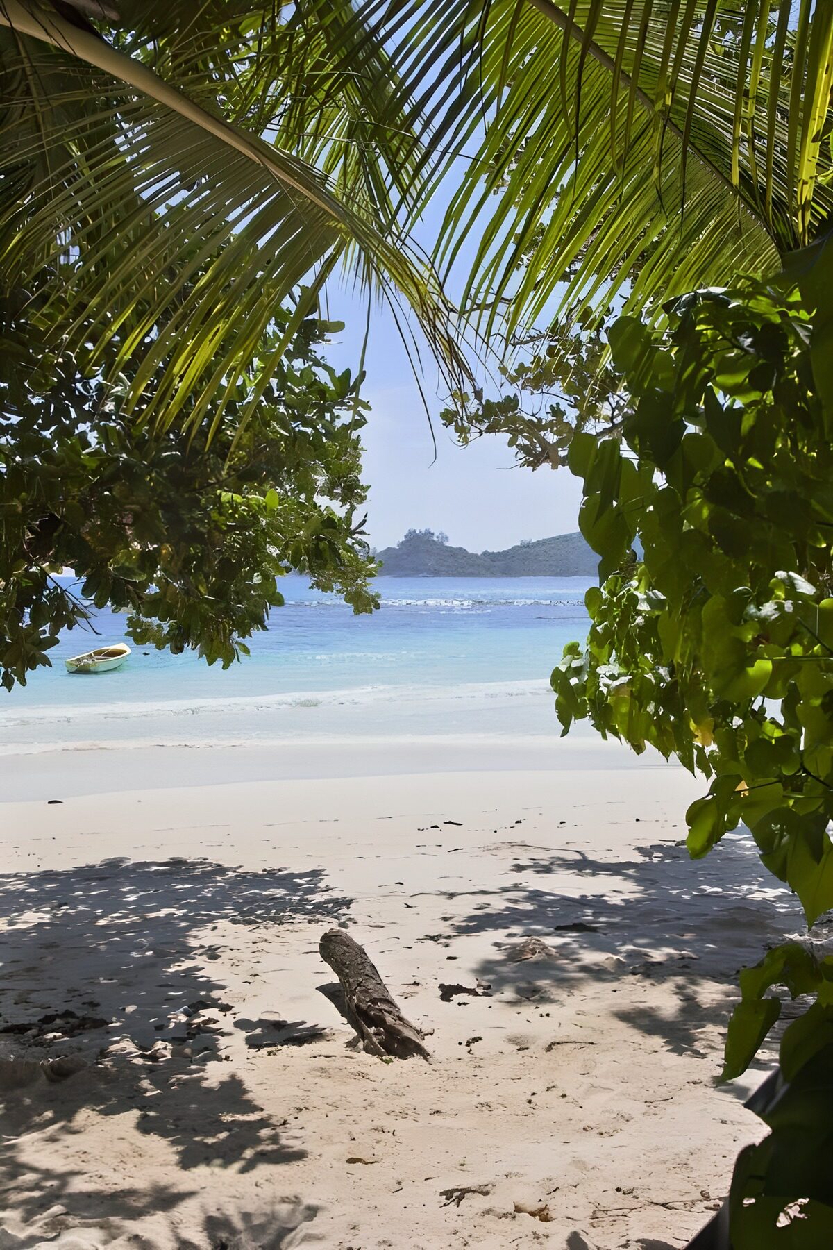 Rustige Strandzicht tussen Palmbladeren