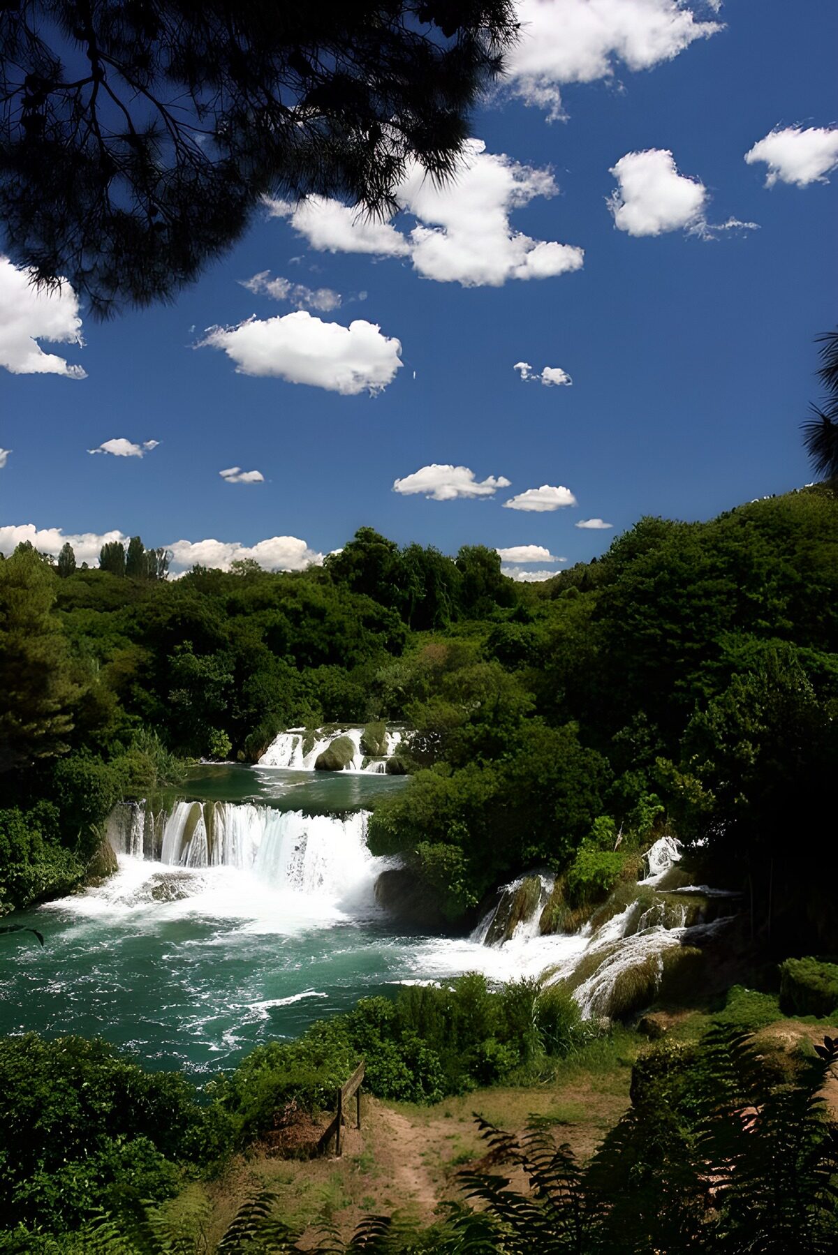 Waterval in een groene oase