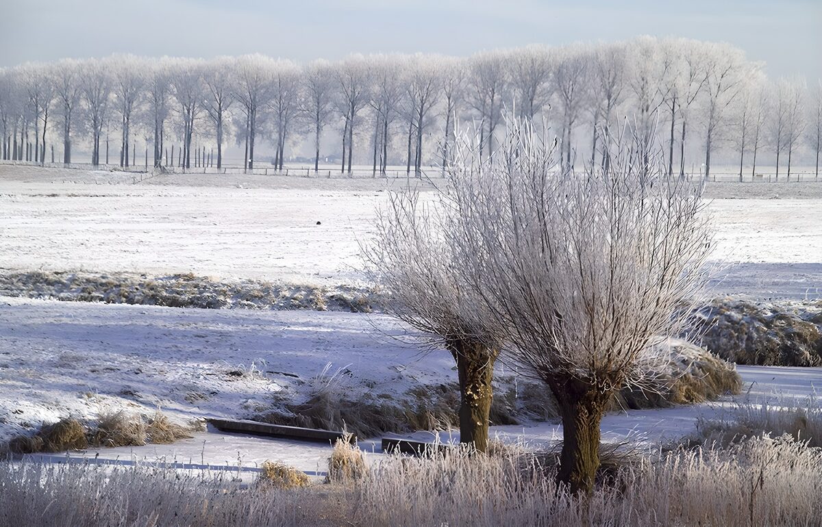 Sprookjesachtig winterlandschap