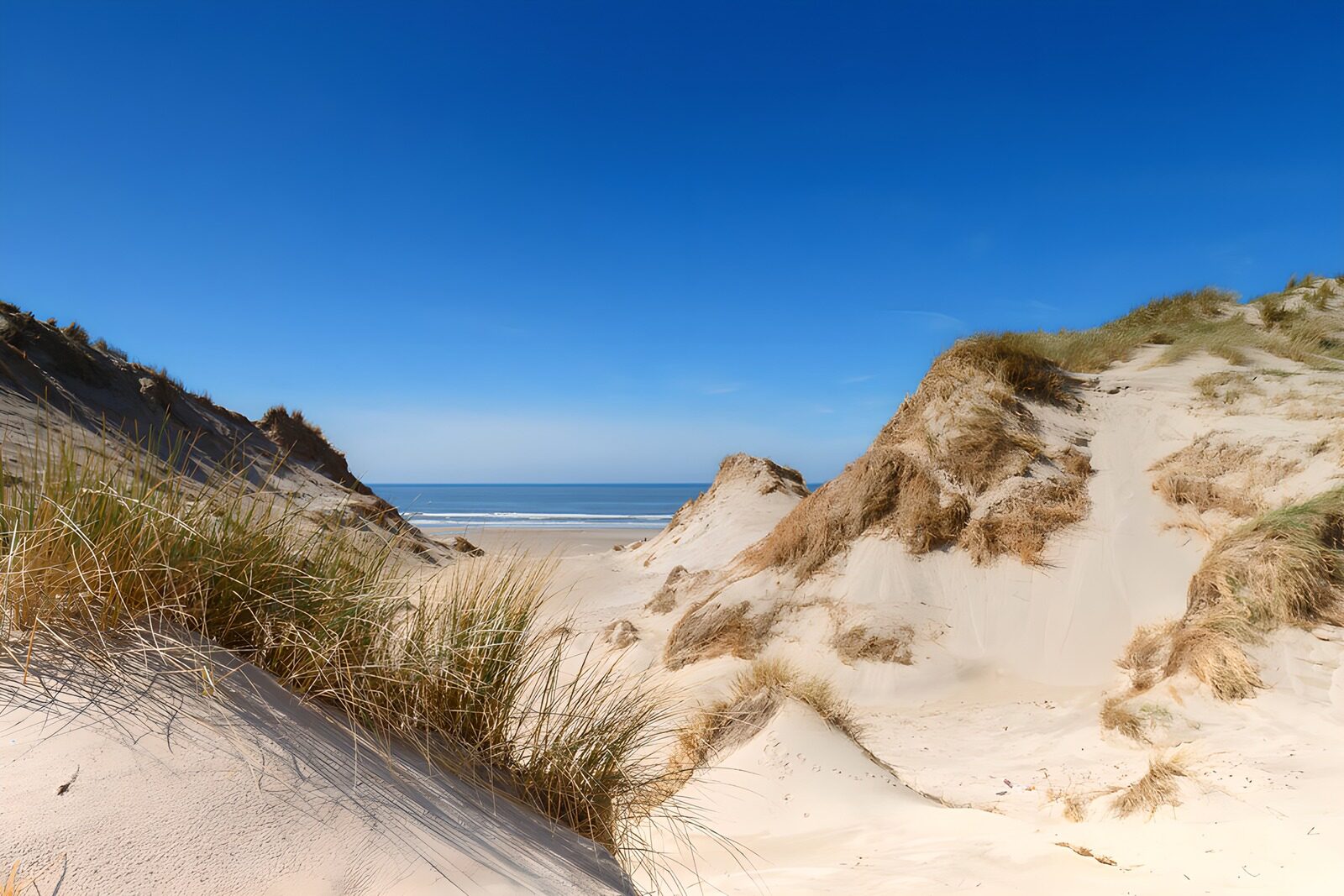 CW9236497: Zandduinen aan de kust onder een blauwe lucht