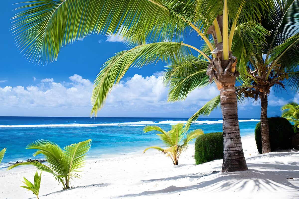 CW4629798: Tropisch strand met palmbomen