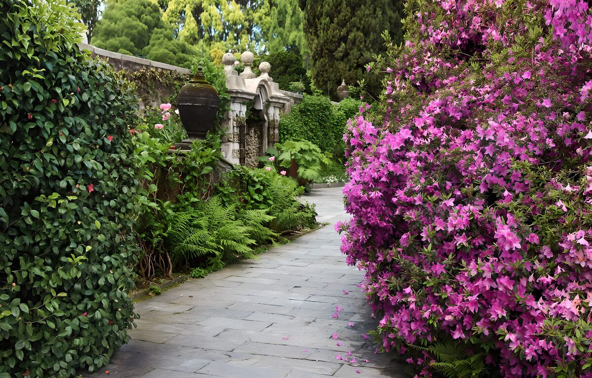 CW3189390: Prachtige Bloemenpaden in de Tuin