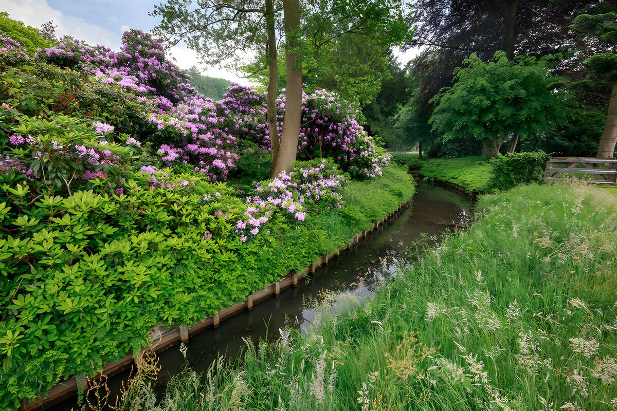 Bloemenpracht langs de beek