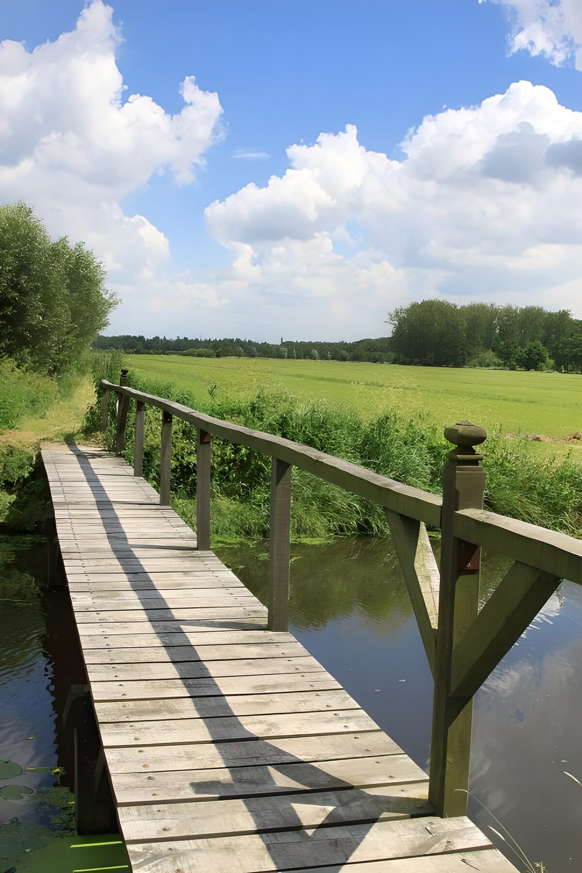 Tijdloze houten brug in de natuur
