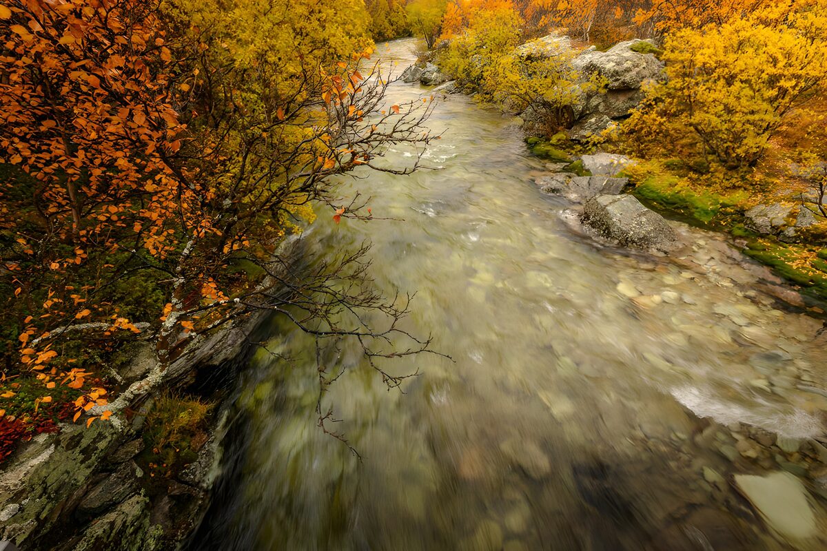Herfstwandeling langs een heldere beek
