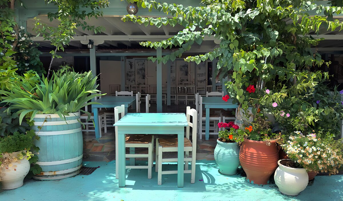 Gezellig terras met bloemen en planten