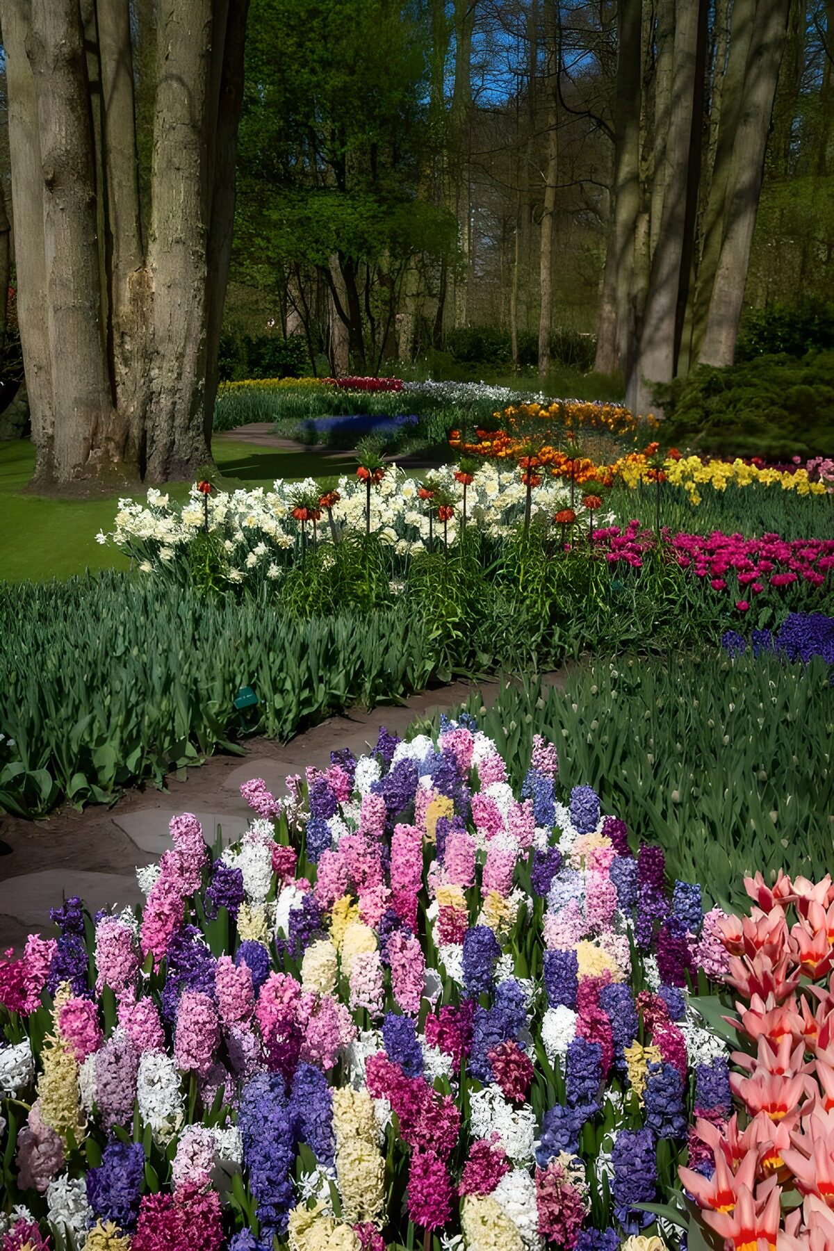 CW4008960: Kleurrijke Bloemenpracht in de Natuur