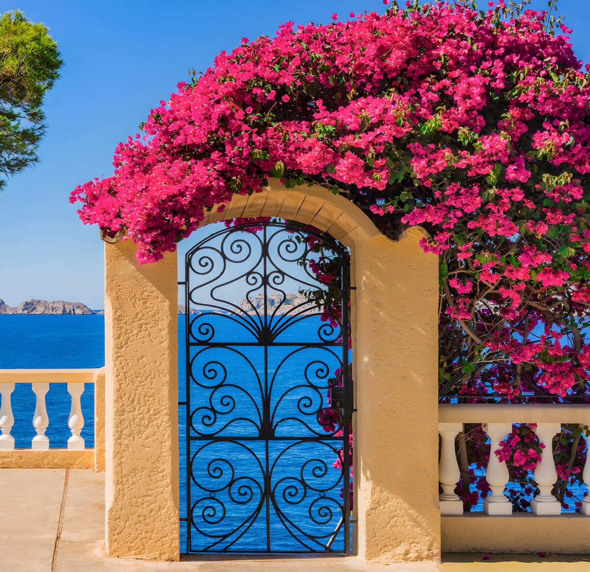 Poort met paarse bloemen en uitzicht op zee