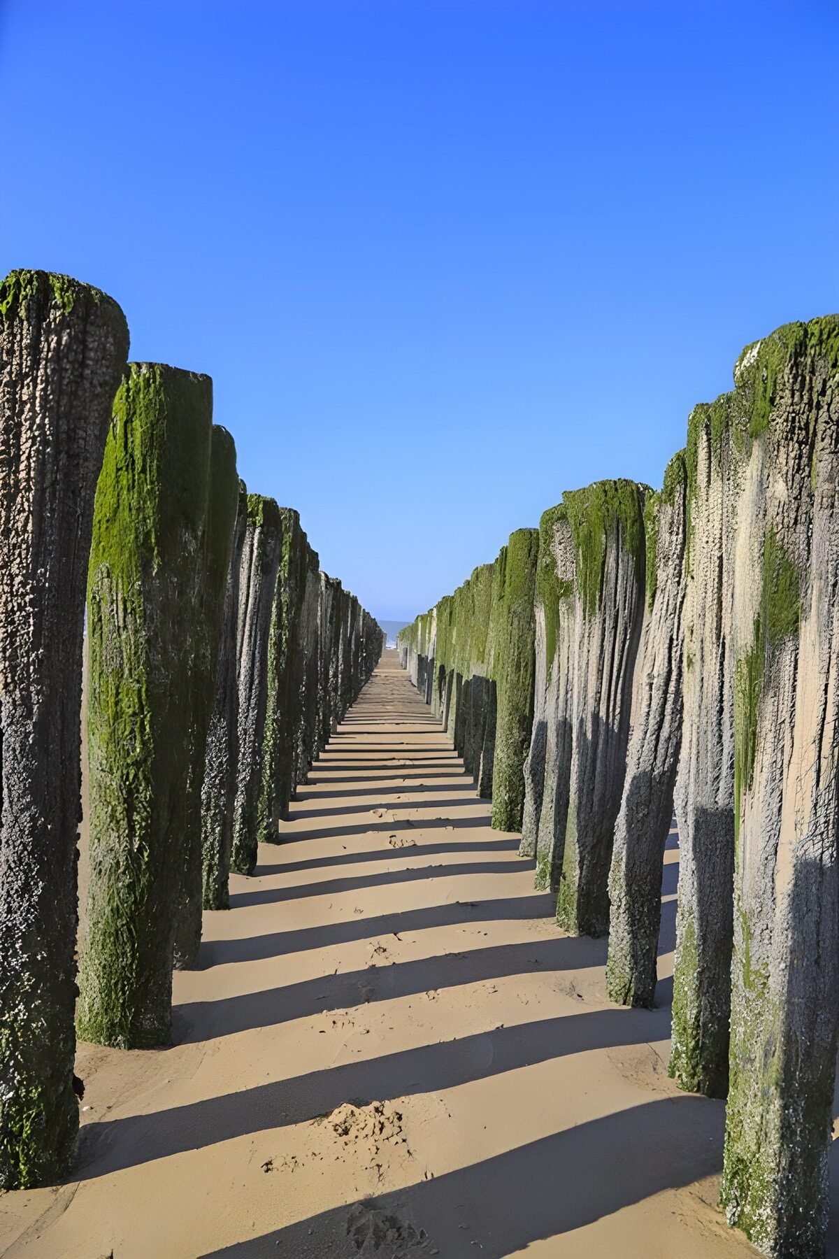 Lange rijen van zeeweringen aan het strand
