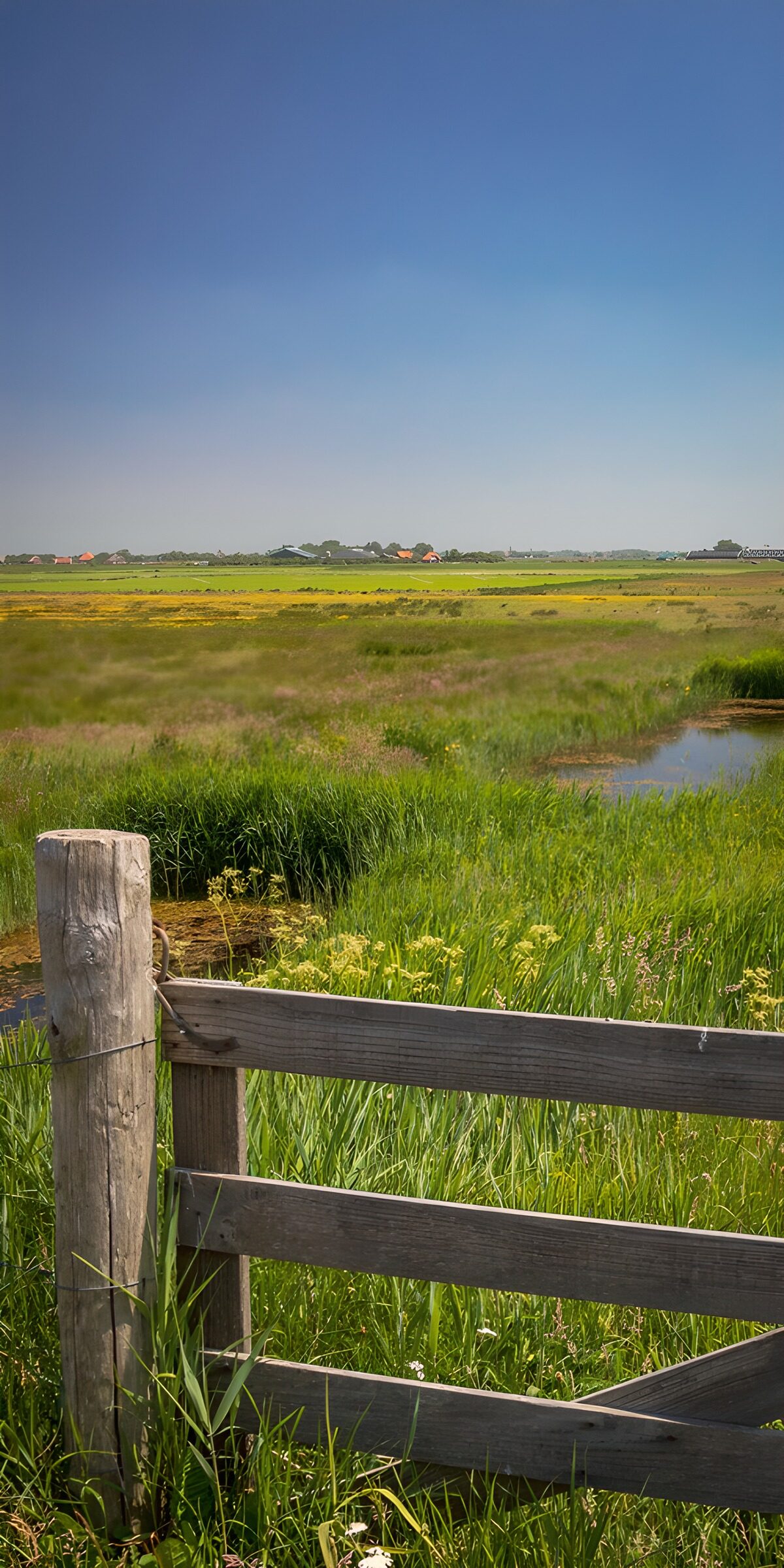 CW9036371: Rustig landschapsbeeld met hek