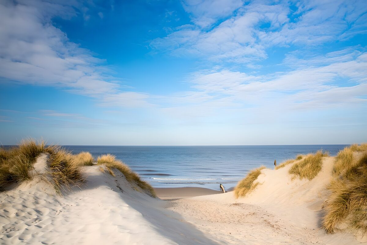 Rustige kustlijn bij de duinen