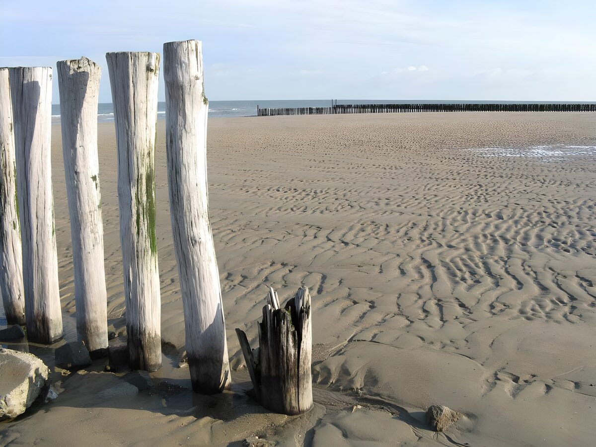 Rustig strand met houten palen