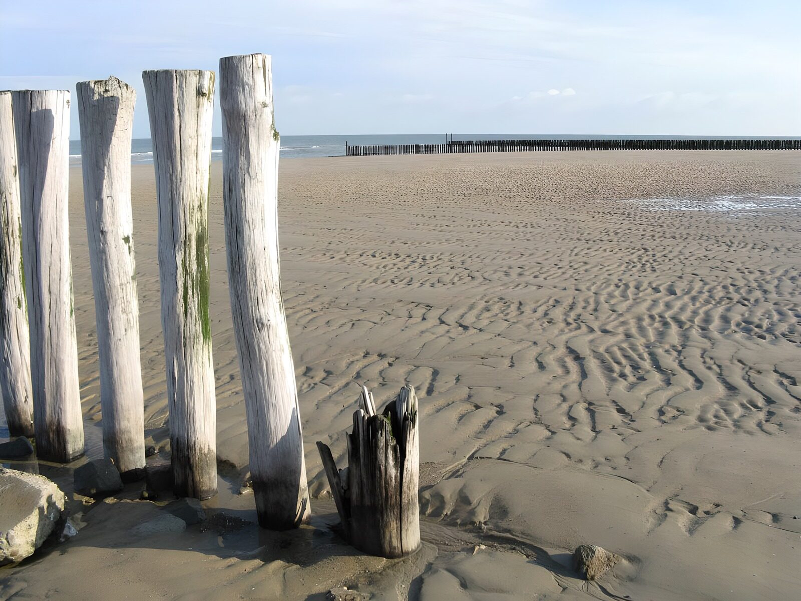 CW8060525: Rustig strand met houten palen