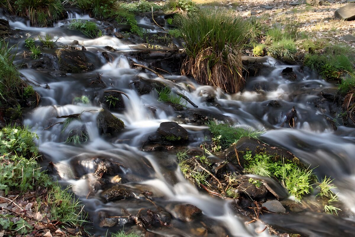 CW5777170: Stromend Water tussen Groene Planten