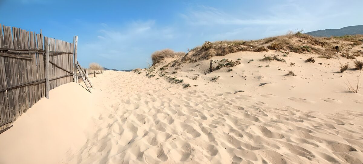 CW5089472: Rustige zandweg naar de duinen