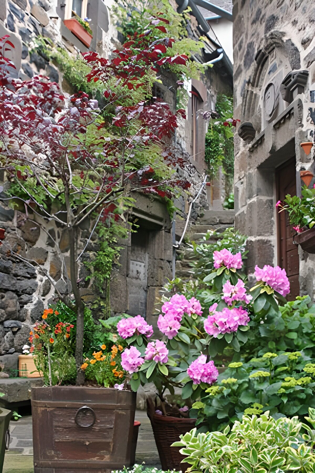 CW6449487: Pittoreske straat met bloemen