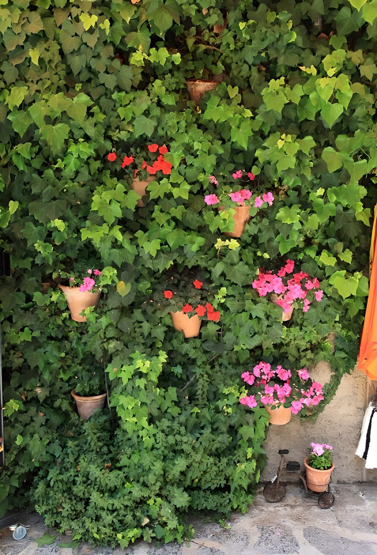 Groen Paradijs met Bloempotten