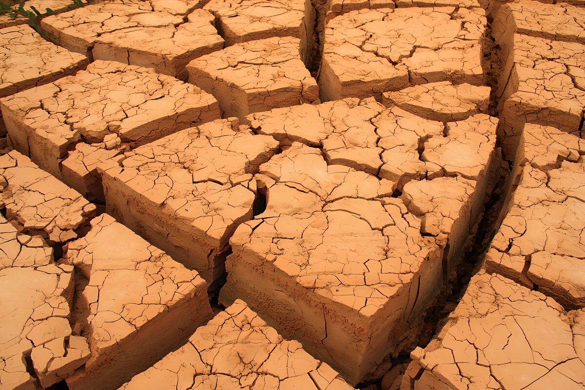 Verdorde aarde door droogte