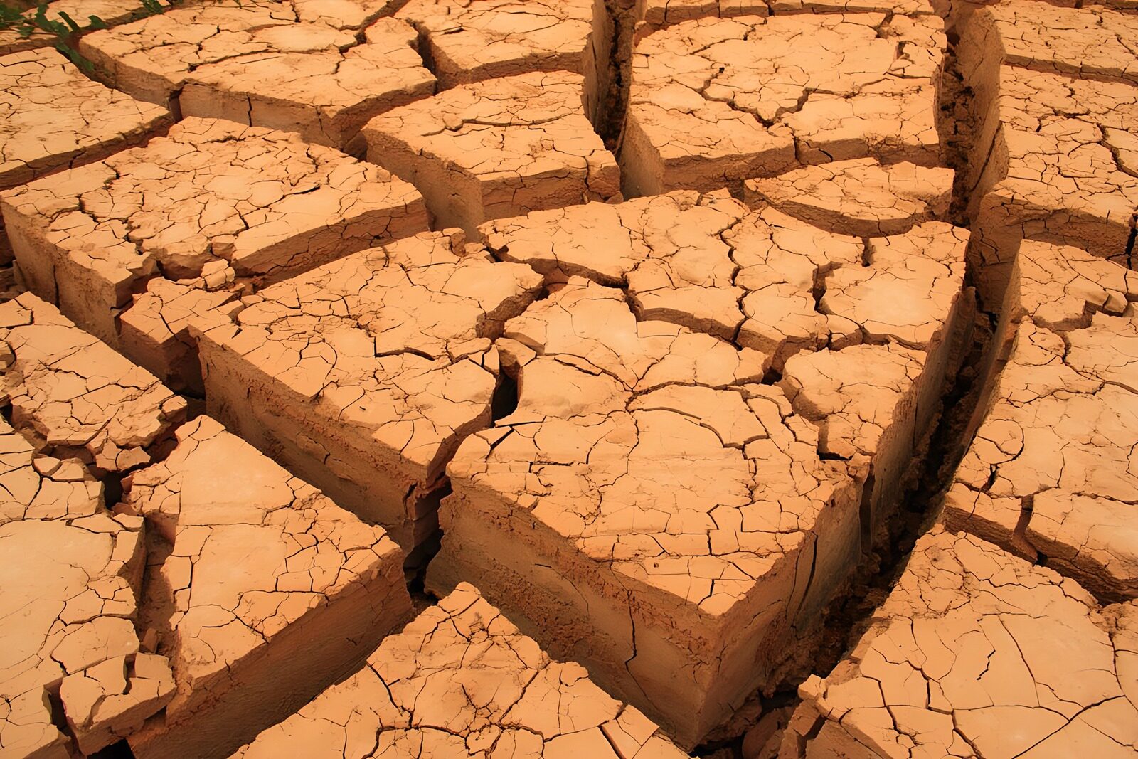 CW6410978: Verdorde aarde door droogte
