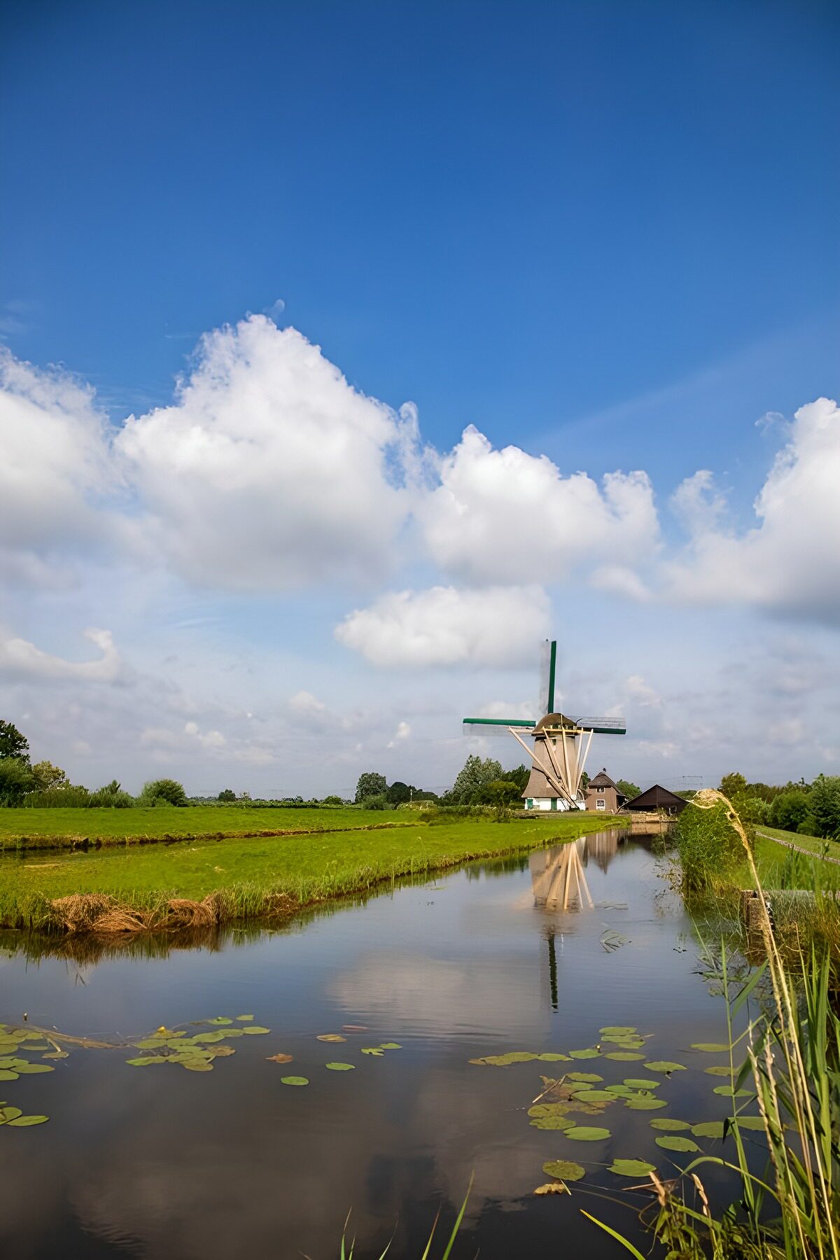 CW3955183: Prachtige molen in groene omgeving