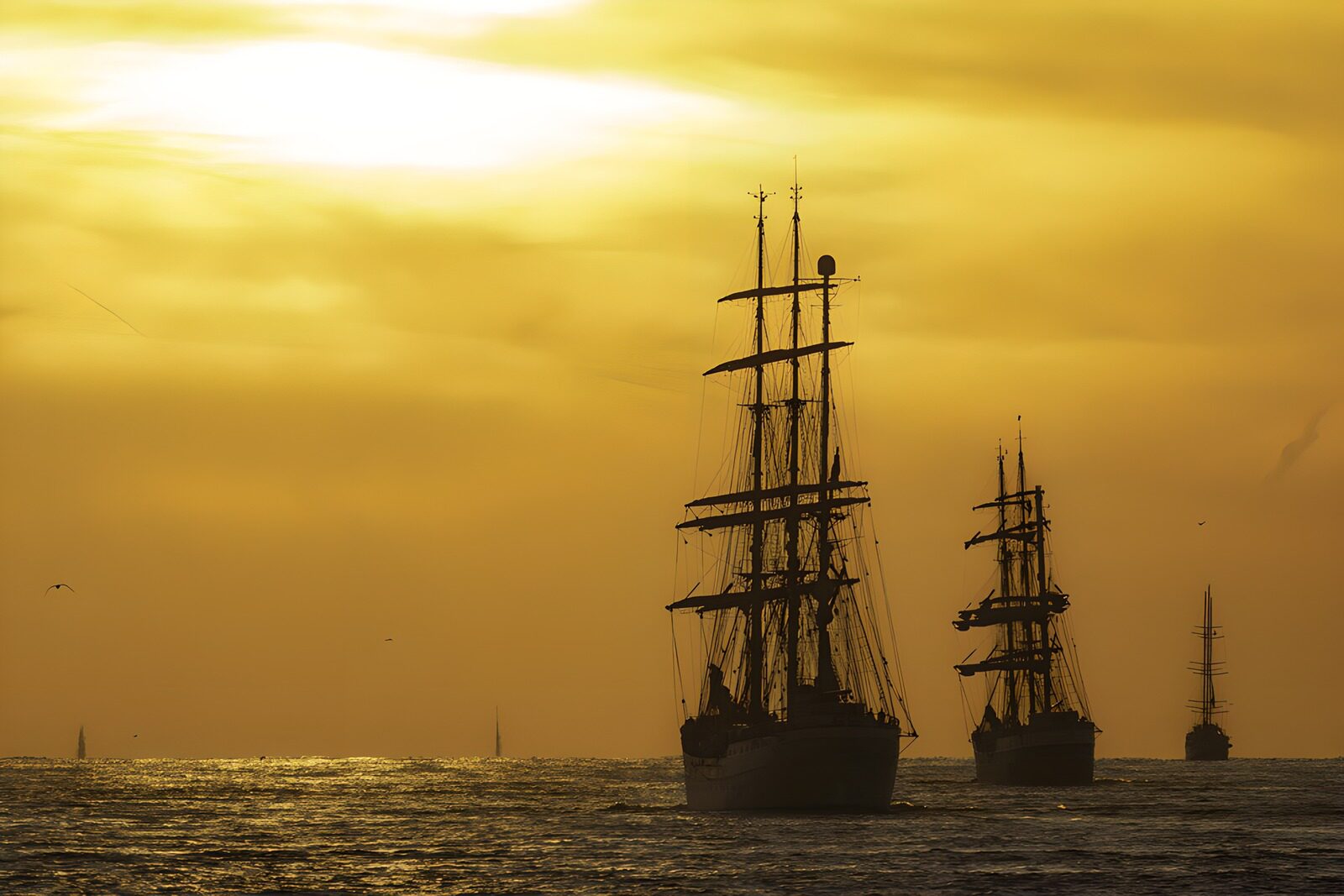 CW5814852: Zeilschepen tegen een gouden zonsondergang