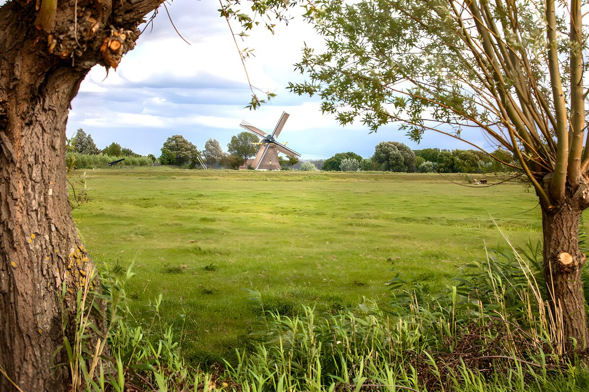 CW7042568: Molen in het Groene Landschap