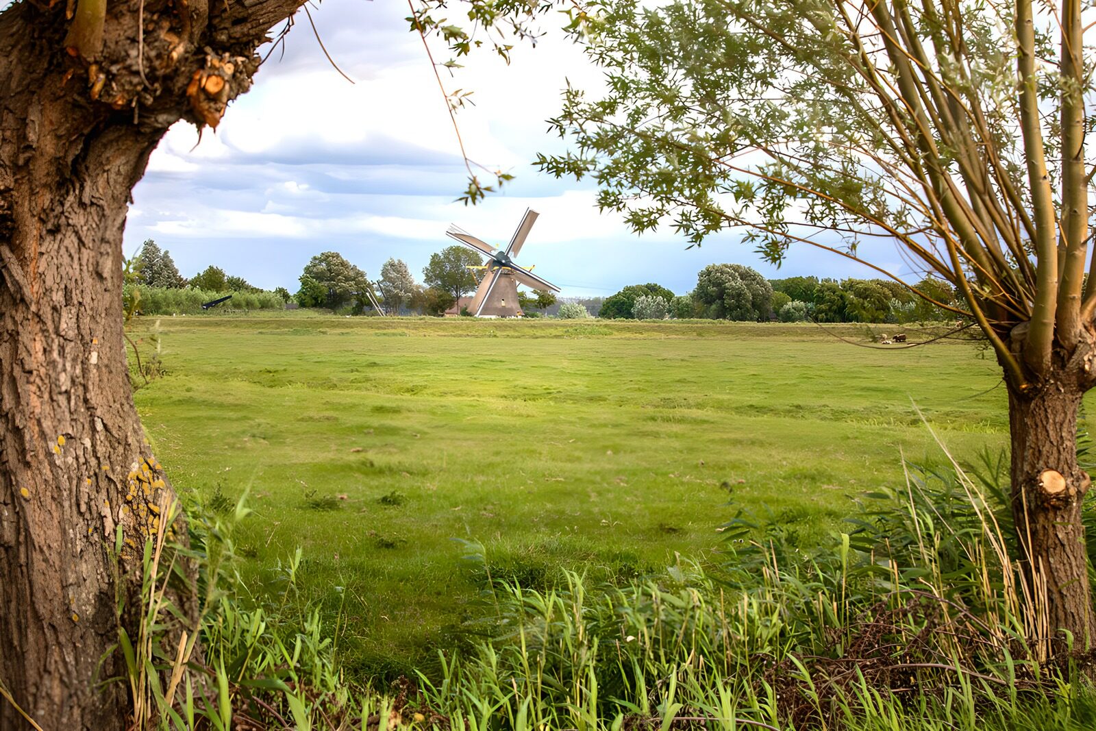 CW7042568: Molen in het Groene Landschap